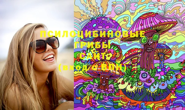spice Надым
