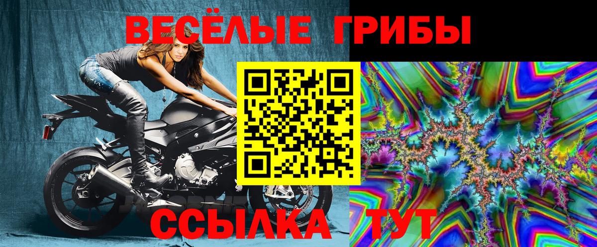 Псилоцибиновые грибы Psilocybe Ижевск